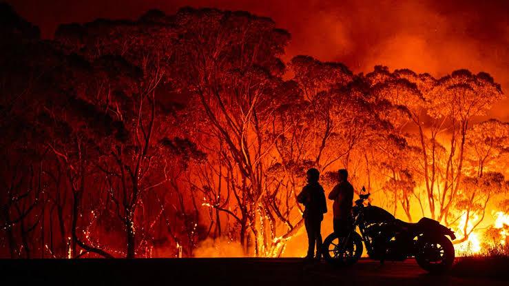Tenistas donan 725 mil dólares para ayudar con los incendios en Australia - Tennis Boutique México